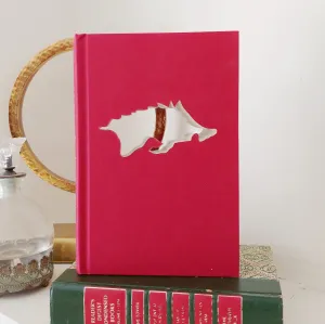 Arkansas Razorbacks Cutout Book