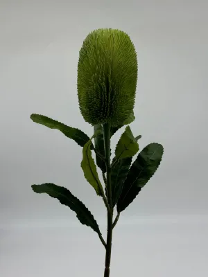 Australian Banksia Green Stem Real Touch