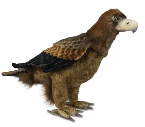 Large Wedge-Tailed Eagle Bird Stuffed Animal Toy (63cm)