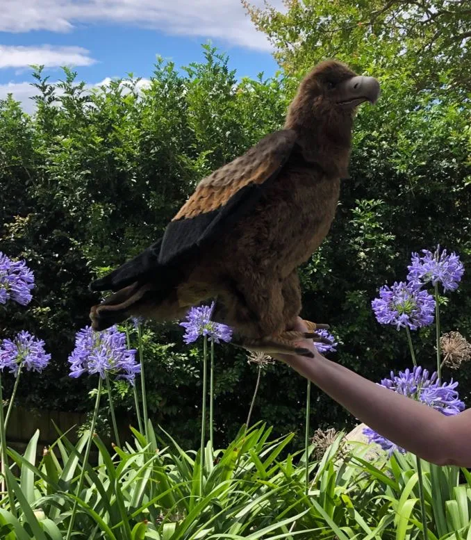 Large Wedge-Tailed Eagle Bird Stuffed Animal Toy (63cm)