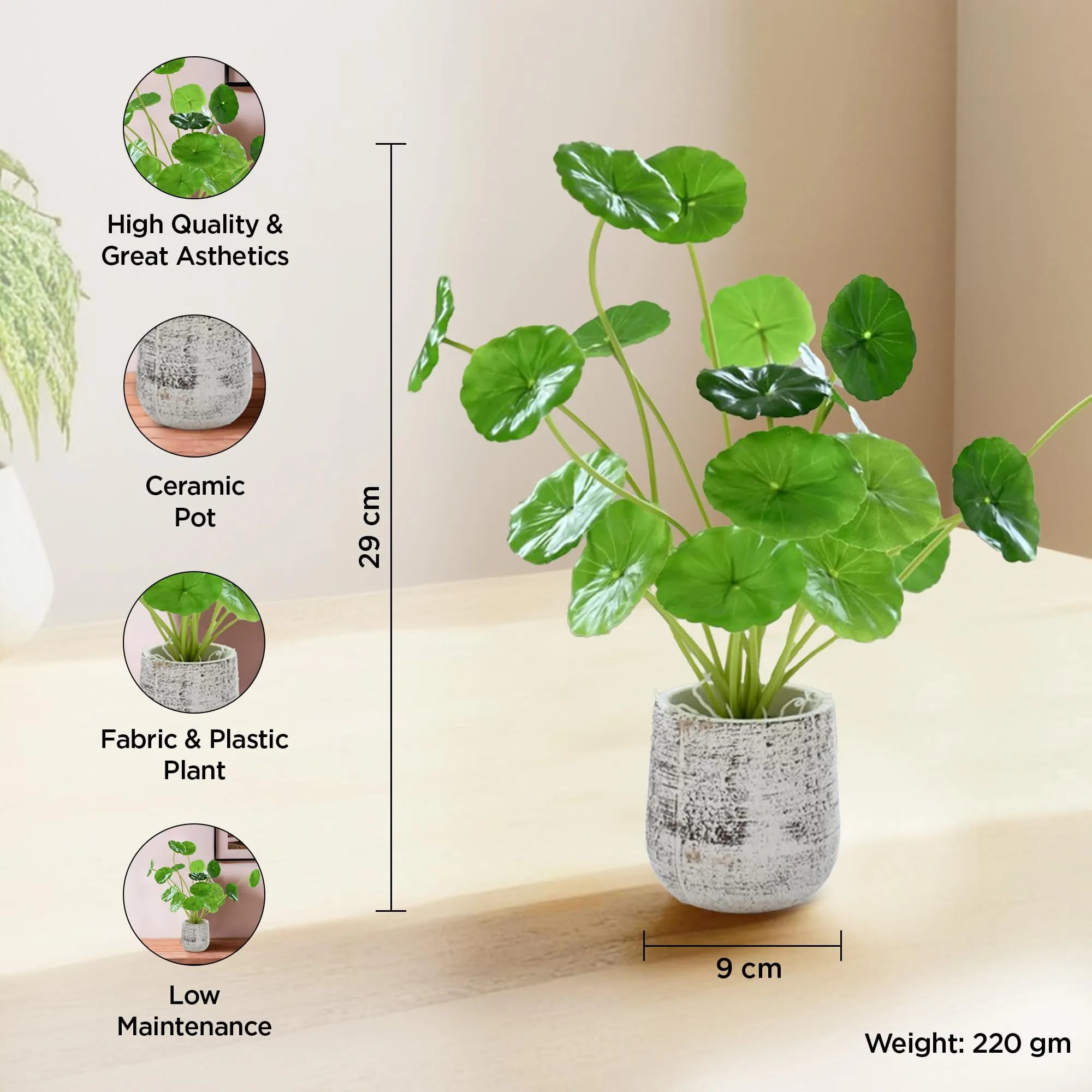 UMAI Artificial Money Plant (29cm) Artificial Plants for Home Decor | Home Decor Items for Living Room, Office, Reception, Hospital, Temple | Aesthetic Room Decor Items for Bedroom